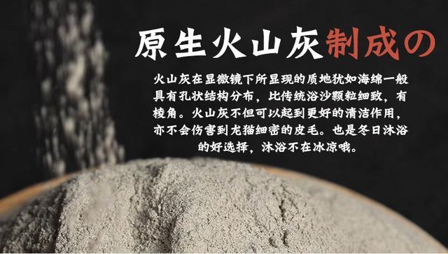 龙猫宠物饲养指南，龙猫饲养