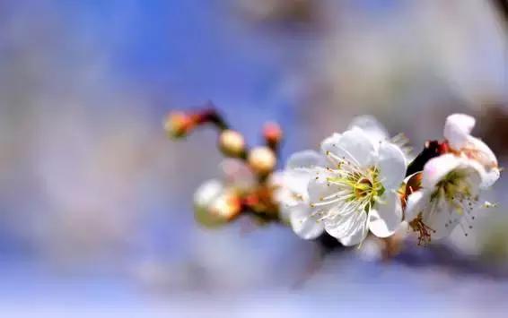 春的别称一个字，春天的称呼大全