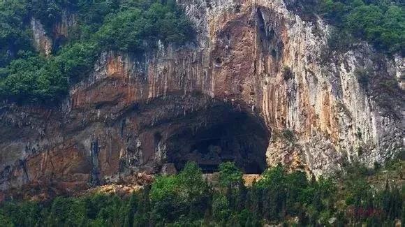 遇见最美的小镇，去针灸小镇赴一场玉兰之约~