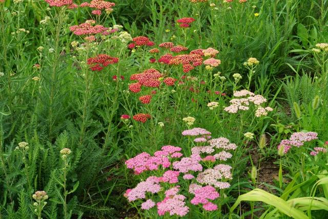 北京必玩景点排名，北京必玩的十个景点排名榜单（北京最值得去的12个景区）