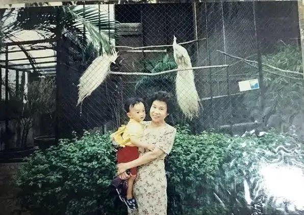 最新的老年人养老方式，刚刚养老又出新花样