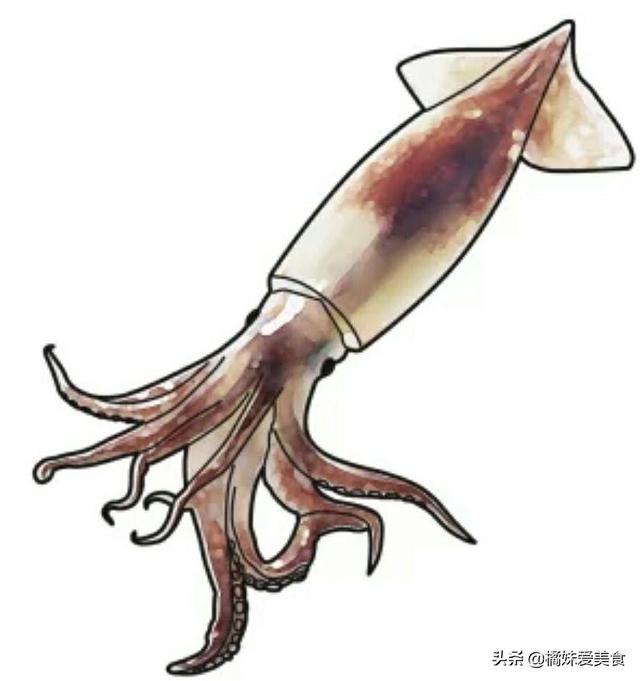 鱿鱼的几种做法大全，10种鱿鱼经典的做法在这里