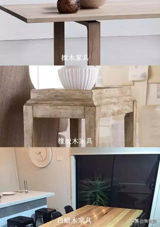 橡木相关知识，记得收藏这篇文章备用