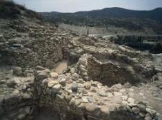 人类起源是如何演变而来，人类的起源和演变