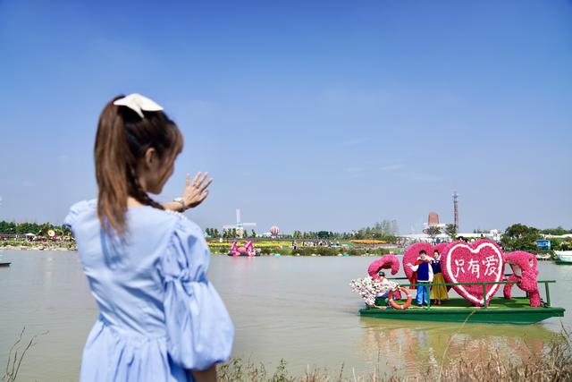 盐城荷兰花海旅游攻略，江苏大丰自驾游—梅花湾、荷兰花海、施耐庵公园