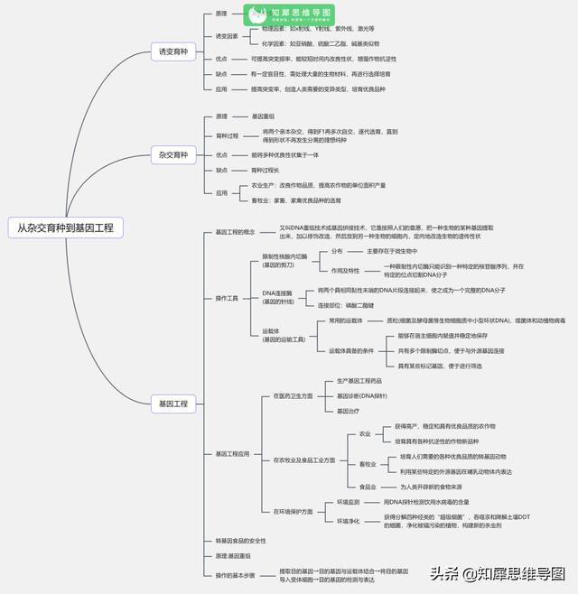 高中生物思维导图，高中生物思维导图简单11张（看透高中生物这20张思维导图）