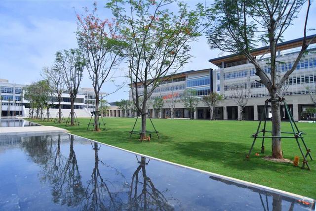 海南中学国际学校，海南国际学校排名榜最新（海南中学、海南侨中等10所学校中招提前批分数线公布）
