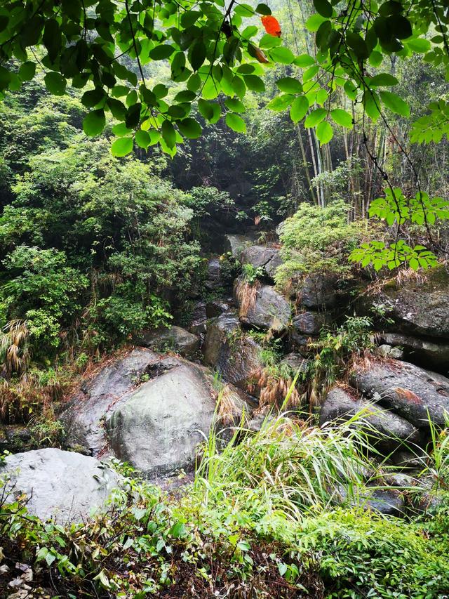 游览广西三友瀑布的心得，广西最原汁原味的山水