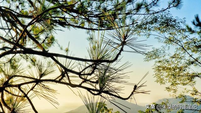黄山特色景点一日游，黄山一日游攻略