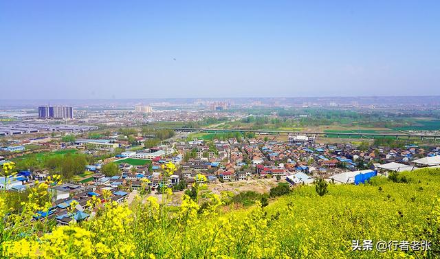 诸葛亮墓被挖出一切都在他预料中，为什么无人敢盗诸葛亮墓呢