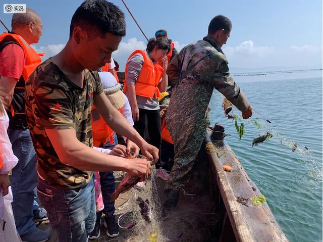 去大连赶海玩的攻略，东北大连哈仙岛