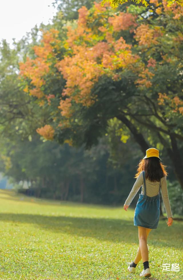 莲花山公园 网红打卡地，莲花山公园又红了