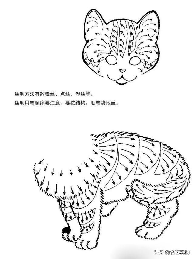 100种小猫怎么画，100种画真猫的画法（教你在纸上养个主子）