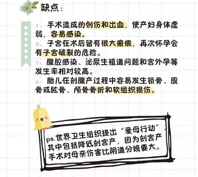 猫的生育常识和技巧，最全的入门级生育指南