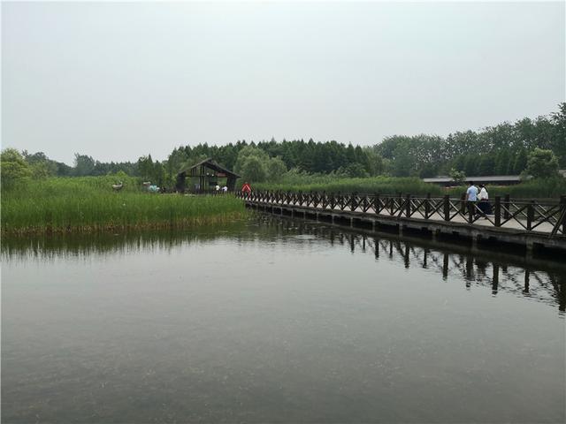 泰州溱湖湿地公园，江苏溱湖国家湿地公园（泰州溱湖国家湿地公园）