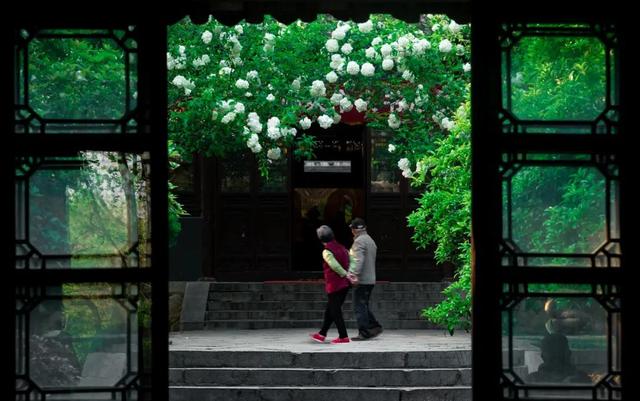 春天踏春赏花时间表，2023春日赏花踏青去哪
