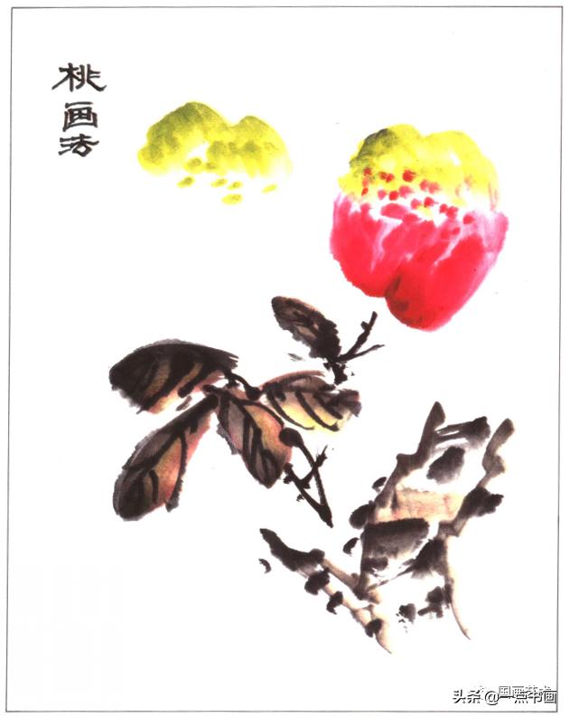 写意蔬果番茄的画法，写意蔬果画法步骤示范