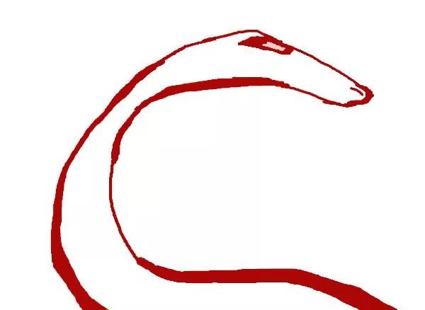 四川各市车牌号字母排序，神了通过这个方法