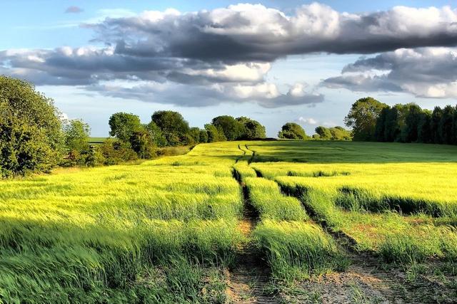 河南出现打雷下雪，桃花雪、雷打雪……河南多地发布暴雪红色预警