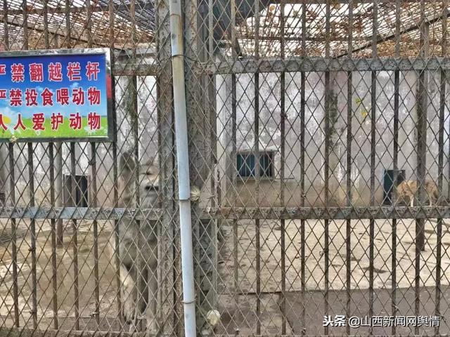 美丽长治湿地公园半日游，喜迁莺·长治湿地公园游所见