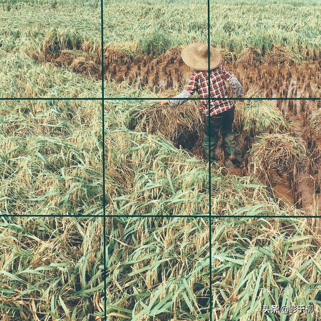 什么手机支持原生相机，的人都不了解的手机原生相机功能