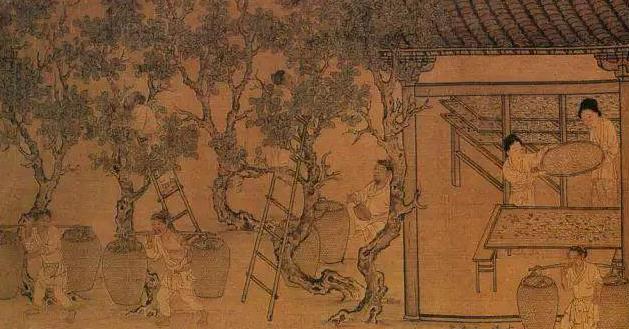 食用醋的做法大全家常，调味品醋的各种小妙用