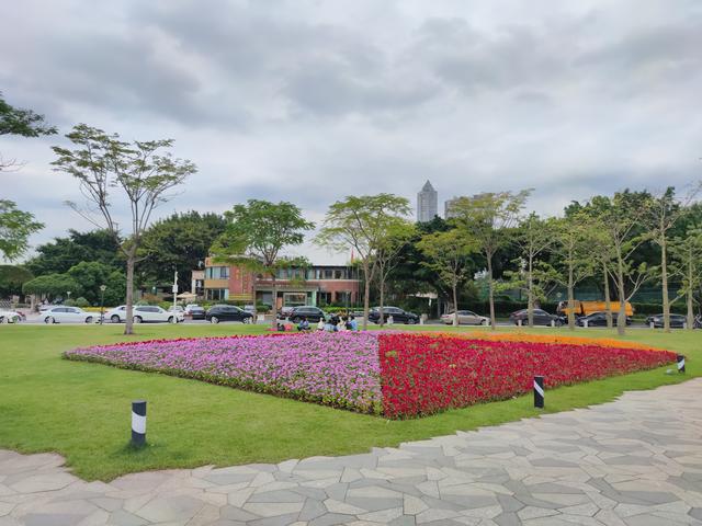 广州最适合去的公园，广州十个必打卡公园<免费篇>
