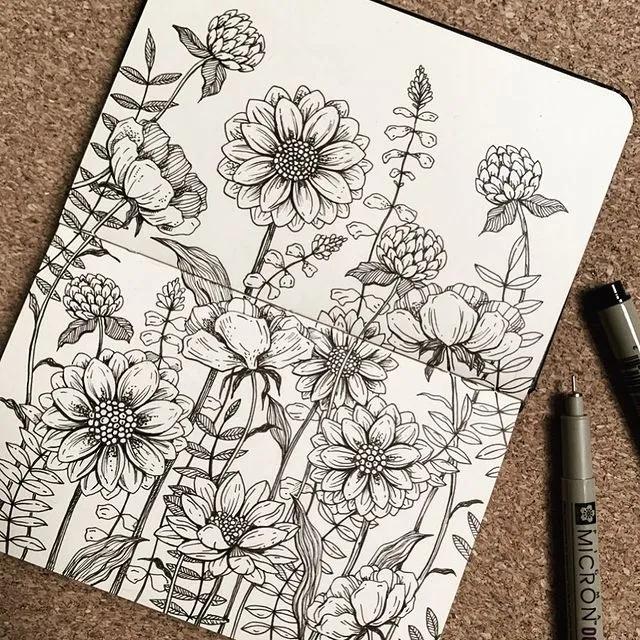 妙笔生花水墨画教程，教科书级别的植物线描