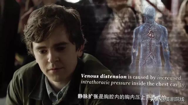 9.4的高分英剧，评分9.4的最强英剧《万物生灵》