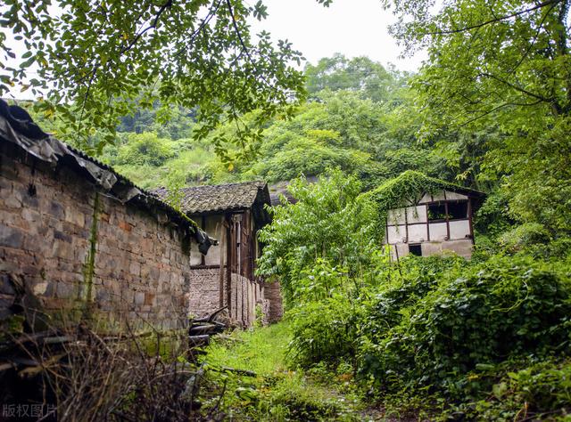 重庆周边凉快的避暑打卡地两三天，重庆周边这⑧个避暑胜地只有25℃