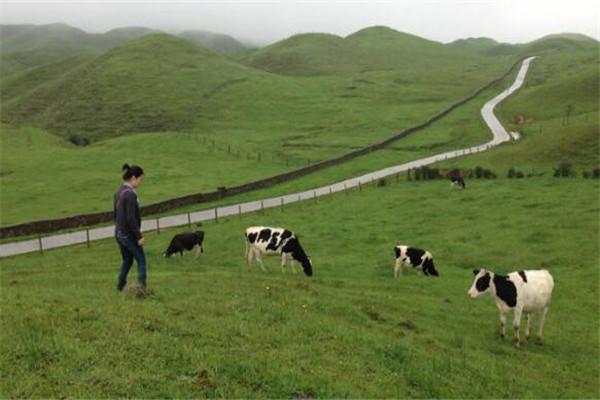 云山国家森林公园，崀山风景名胜区旅游攻略（想要感受清凉一夏）