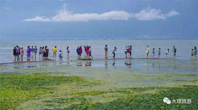 洱海有道旅游攻略，一印两亭三岛