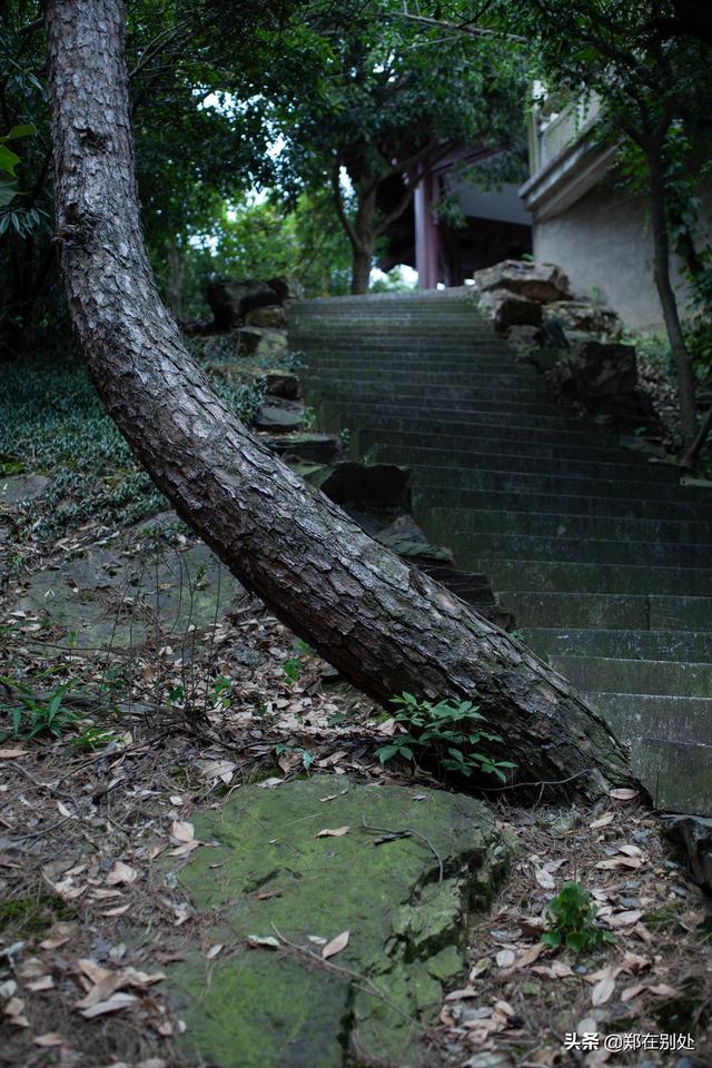 杭州冷门爬山路线，杭州登山路线08最好在这里