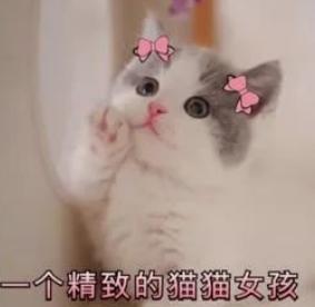孕妇身体乳推荐，孕期身体乳排行榜前十名（孕妇保持少女肌的秘密）