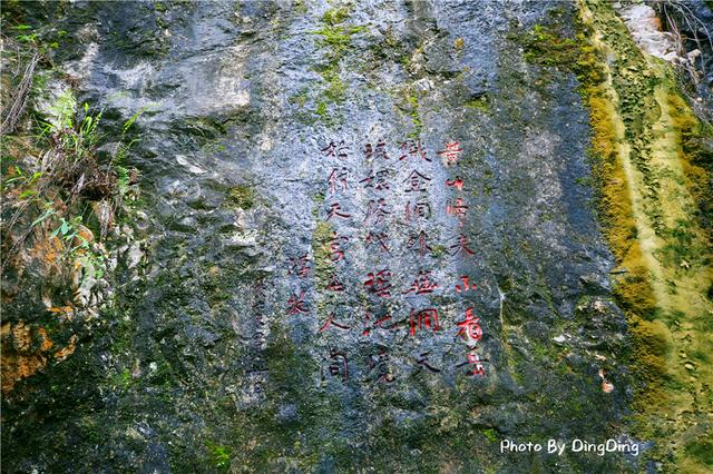 贵州龙宫溶洞简介，亚洲溶洞之王贵州织金洞