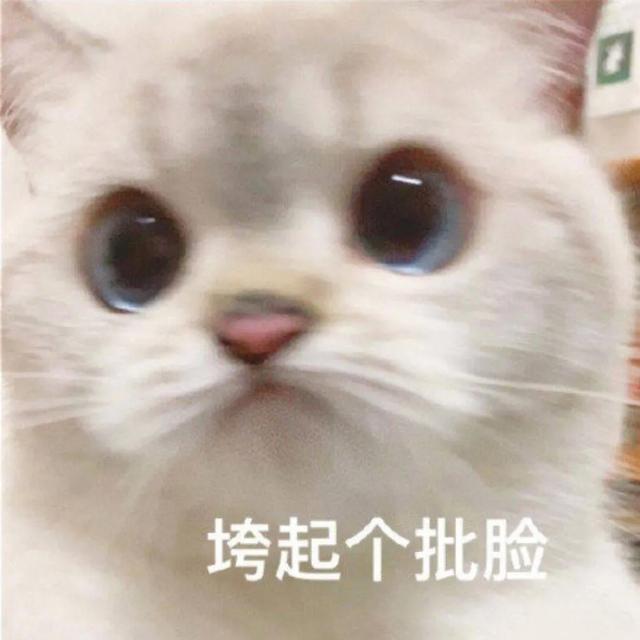肥胖别名(肥胖又称什么)