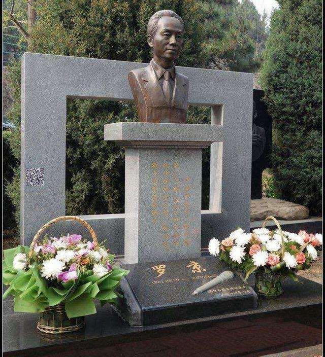 主持人罗京儿子近况，罗京儿子：名字取自唐诗