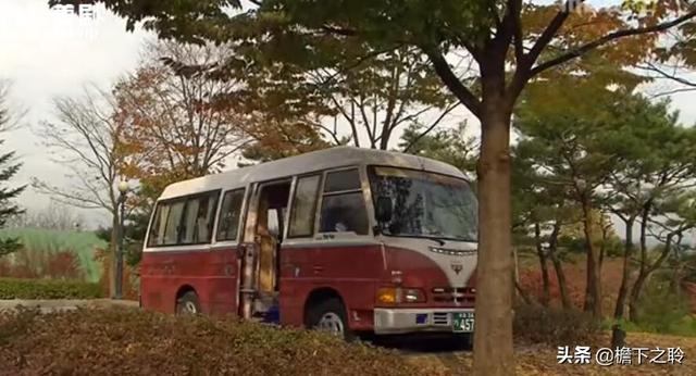 狐狸啊你干啥呢，我和小狼狗谈恋爱