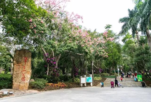 深圳十大山风景区，推荐10个非常值得一去的登山打卡点