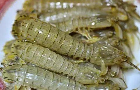 皮皮虾怎样水煮，煮皮皮虾也有小诀窍