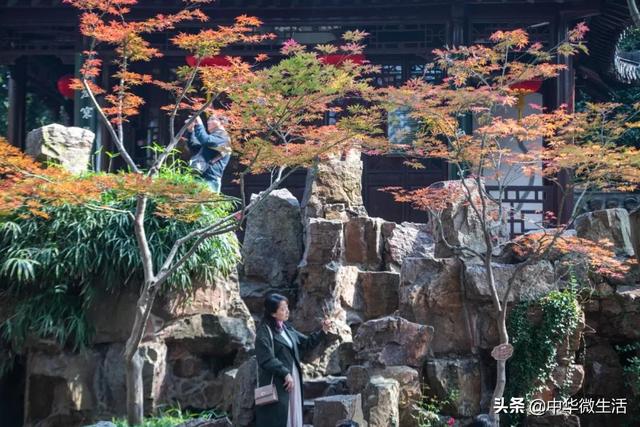 扬州二日游自由行攻略，秋未尽冬已来这场12小时的扬州寻美之旅