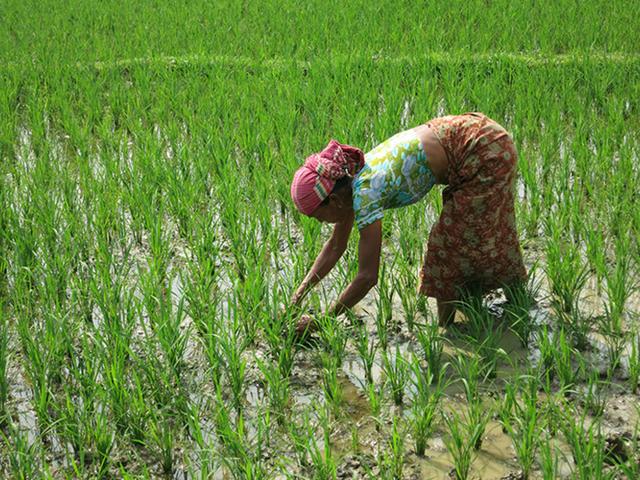 孟加拉国很穷吗，孟加拉国为什么又穷又脏