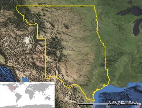 植树造林的意义，关于植树造林的意义及相关知识（植树节的意义）