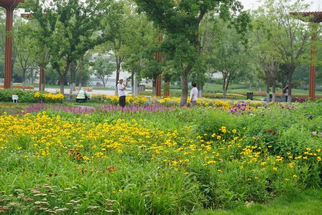 北京必玩景点排名，北京必玩的十个景点排名榜单（北京最值得去的12个景区）