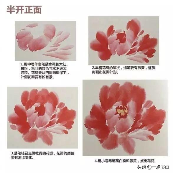 牡丹花头的画法对照表，写意牡丹花头的各种画法