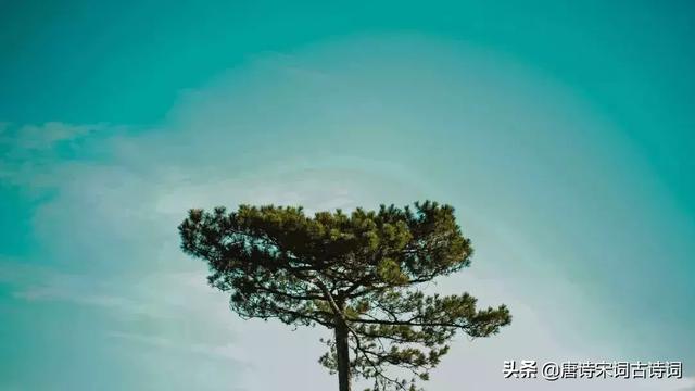 铜官窑瓷器题诗，最著名的十首爱情诗
