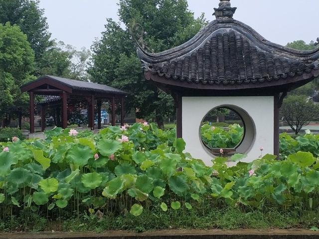 宜兴旅游攻略自助游推荐，满意的宜兴深度游