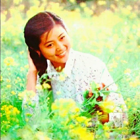 王志文历来角色合集，王志文十大经典电视剧