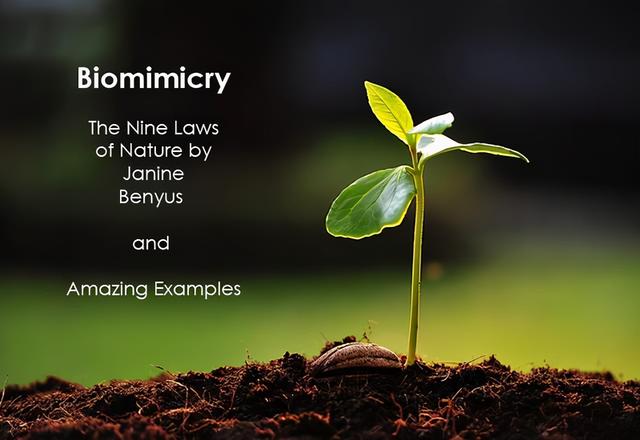 土葬多久会腐烂，土葬棺材里尸骨多少年腐烂（土葬的人从肉体变成白骨的时间大约是多久）