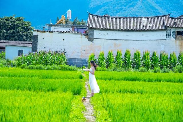 春天踏春赏花时间表，2023春日赏花踏青去哪